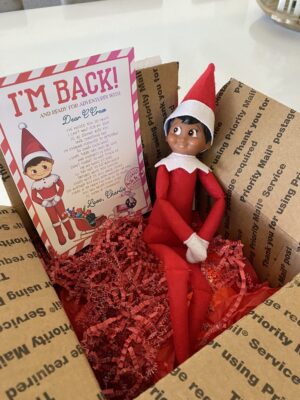 9 Best Elf on the Shelf Ideas to Choose