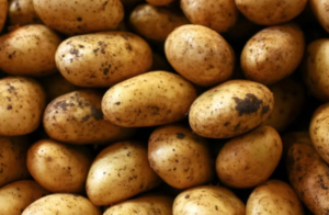 Dietary Fiber Intake Is Affected By Potato Skin Dietary Fiber Intake Is Affected By Potato Skin