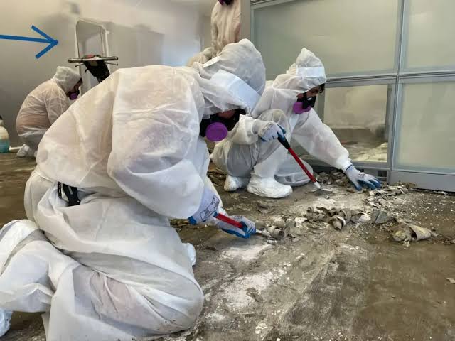 5 Best Asbestos Removal Services in Reading - Discover safe handling of hazardous materials